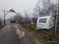 Temiz İlk Sahibinden - Adria Aviva 360DK -2024
