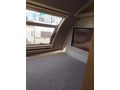 NEON KARAVAN SHOPDAN 