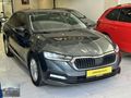 2022 OCTAVIA 1.0 e-tec 165.000 km