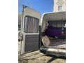 Sahibinden Ford Transit 120 V 2000 Model 