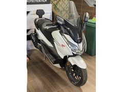 | 2018 | HONDA FORZA NSS 250 | SERVİS BAKIMLI | SIRT DAYAMA |