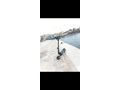 Sahibinden Elektrikli Araçlar Scooter Diğer Markalar