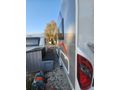 # 2023 Sterckeman Starlett 470 CP, "Full Donanımlı"***