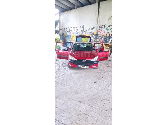 KÜLLERİNDEN YENİDEN DOĞDU
