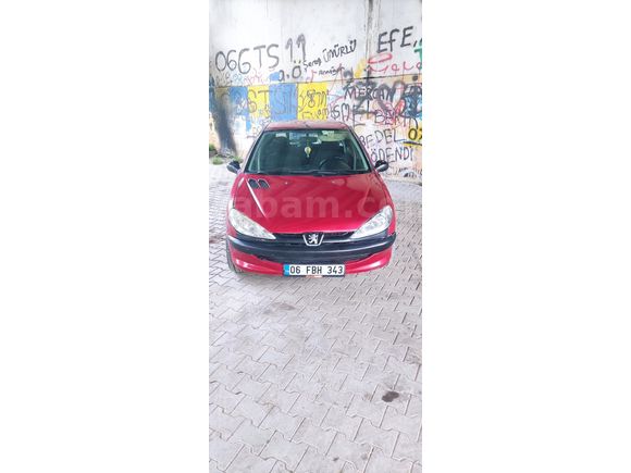 KÜLLERİNDEN YENİDEN DOĞDU
