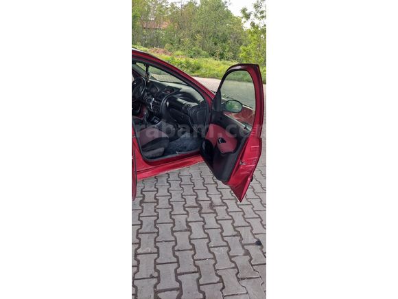 KÜLLERİNDEN YENİDEN DOĞDU
