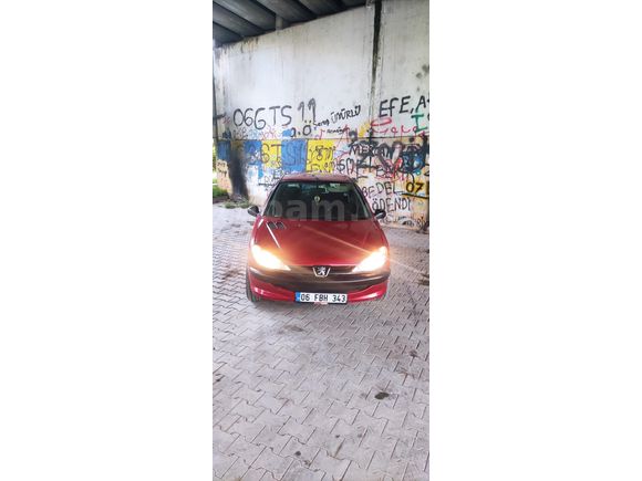 KÜLLERİNDEN YENİDEN DOĞDU