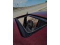 Sahibinden Opel Vectra 2.0 GLS 1994 Model Ankara
