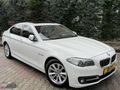 2014 HATASIZ BOYASIZ BMW 5.20İ PREMIUM HAYALET-VAKUM-ISITM-DERİ