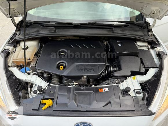 YILKAR AUTO DAN FOCUS TRENT X