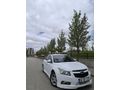 HATASIZ CRUZE