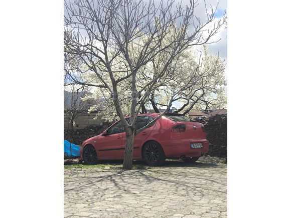 Acil satılık Seat Leon 1.6 Signo 2001 Model
