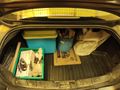 Fiat Linea 1.3 Multijet Active 2009 Model İstanbul