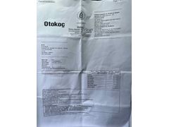 Sahibinden Temiz Ford Focus  Titanium Stil 2023 Model 