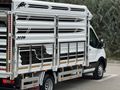 Sahibinden Ford Trucks Transit 350 ED Çankırı