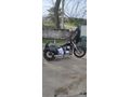 Sahibinden Regal Raptor Daytona 250S