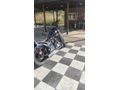 Sahibinden Regal Raptor Daytona 250S