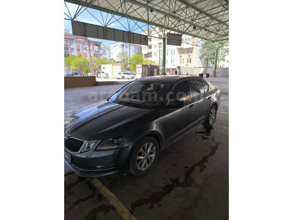 Sahibinden Skoda Octavia 1.6 TDI Style 2019 Model