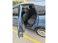 Sahibinden Ford Focus 1.6 Ghia 2000 Model Çorum