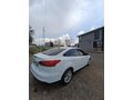 Sahibinden Ford Focus 1.5 TDCi Trend X