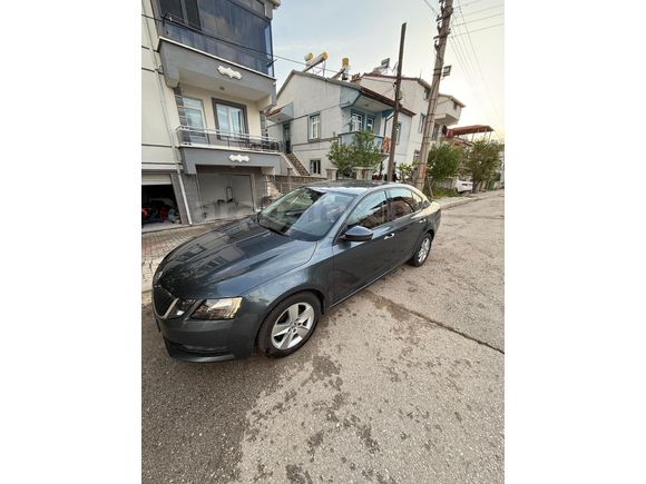 Sahibinden Skoda Octavia 1.6 TDI Optimal 2019 Model