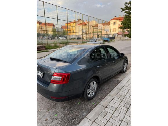 Sahibinden Skoda Octavia 1.6 TDI Optimal 2019 Model