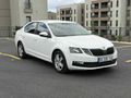 Galeriden Skoda Octavia 1.6 TDI Optimal 2019 Model İstanbul