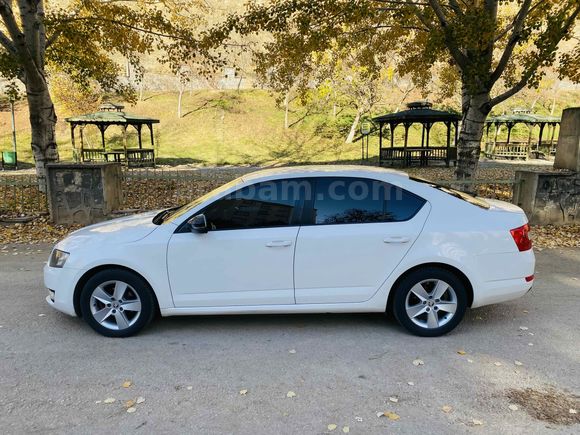 Sahibinden Skoda Octavia 1.6 TDI Optimal 2014 Model 