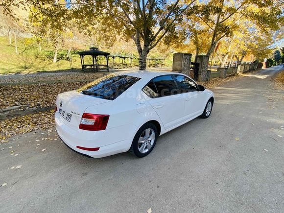 Sahibinden Skoda Octavia 1.6 TDI Optimal 2014 Model 