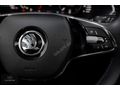 HATASIZ/BOYASIZ/EKSTRALI/2023 SUPERB/PRESTİGE/52.000KM/19'JANT+