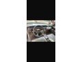 Sahibinden Buick Regal 3.8 1993 Model 