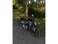 Sahibinden CFmoto 250NK 