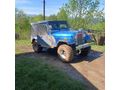 Sahibinden Jeep Willys Ordu