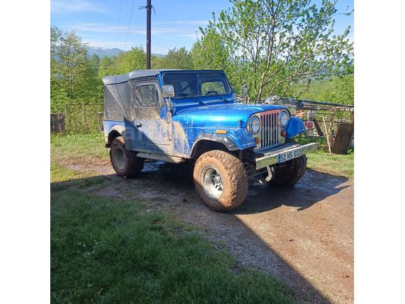 Sahibinden Jeep Willys Ordu