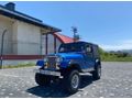 Sahibinden Jeep Willys Ordu