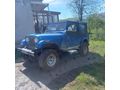 Sahibinden Jeep Willys Ordu