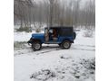 Sahibinden Jeep Willys Ordu