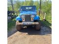 Sahibinden Jeep Willys Ordu