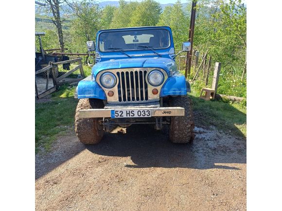 Sahibinden Jeep Willys Ordu