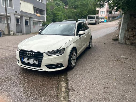 beyaz kelebek satışta