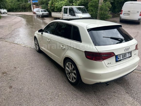 beyaz kelebek satışta