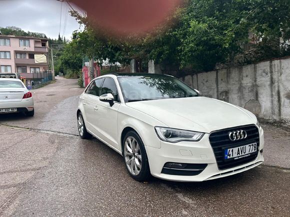 beyaz kelebek satışta