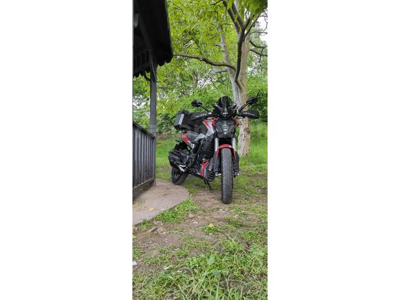 Sahibinden Bajaj Dominar 250 D