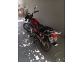 İLK SAHİBİNDEN SATILIK KUBA 100CG