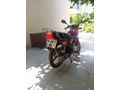 İLK SAHİBİNDEN SATILIK KUBA 100CG