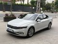 Volkswagen Passat 1.5 TSi CAM TAVAN