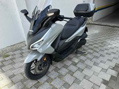 Sahibinden Honda Forza 250 (NSS250) İstanbul