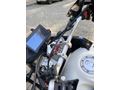 Sahibinden Arora CR 250 