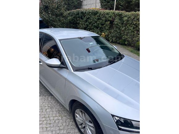 Sahibinden Skoda Octavia 1.0 e-Tec Elite 2024 Model  65.000 km Gri