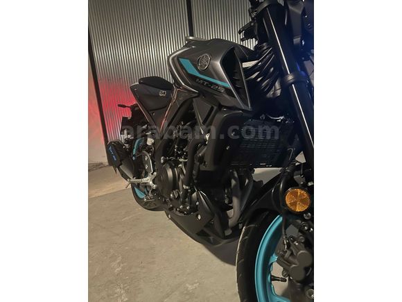 Sahibinden Yamaha MT 25 ABS 
